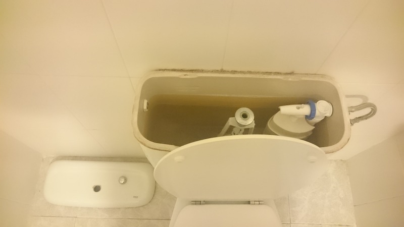 Toilet defect