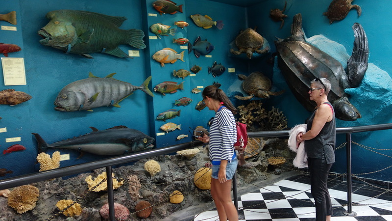 Het zee-aquarium en museum