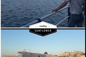 Cruiseschip in de haven