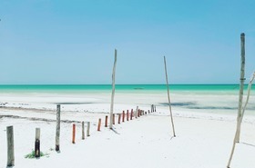 Excursie holbox