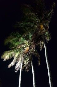 Aan t strand 's avonds