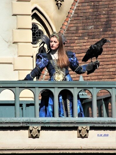 Optreden met de raven .