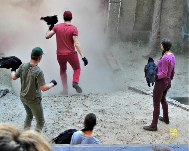 Het was een beetje mistig !!