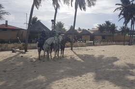Politie te paard geniet van 'onze' palmbomen