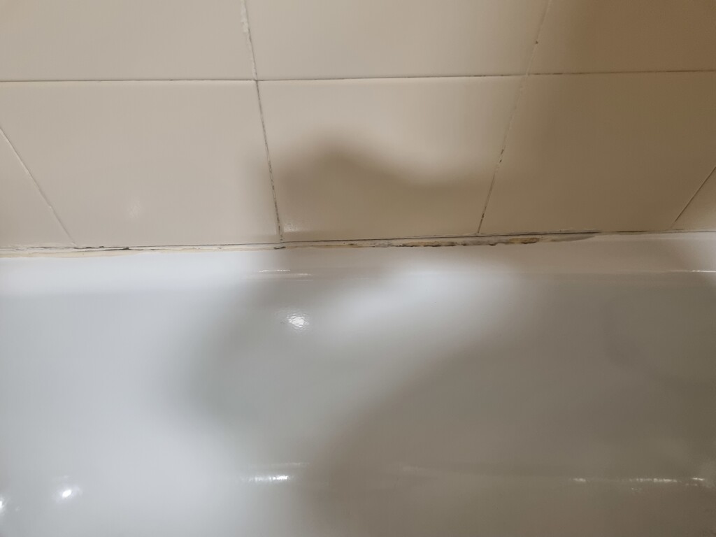 Schimmel in de badkamer
