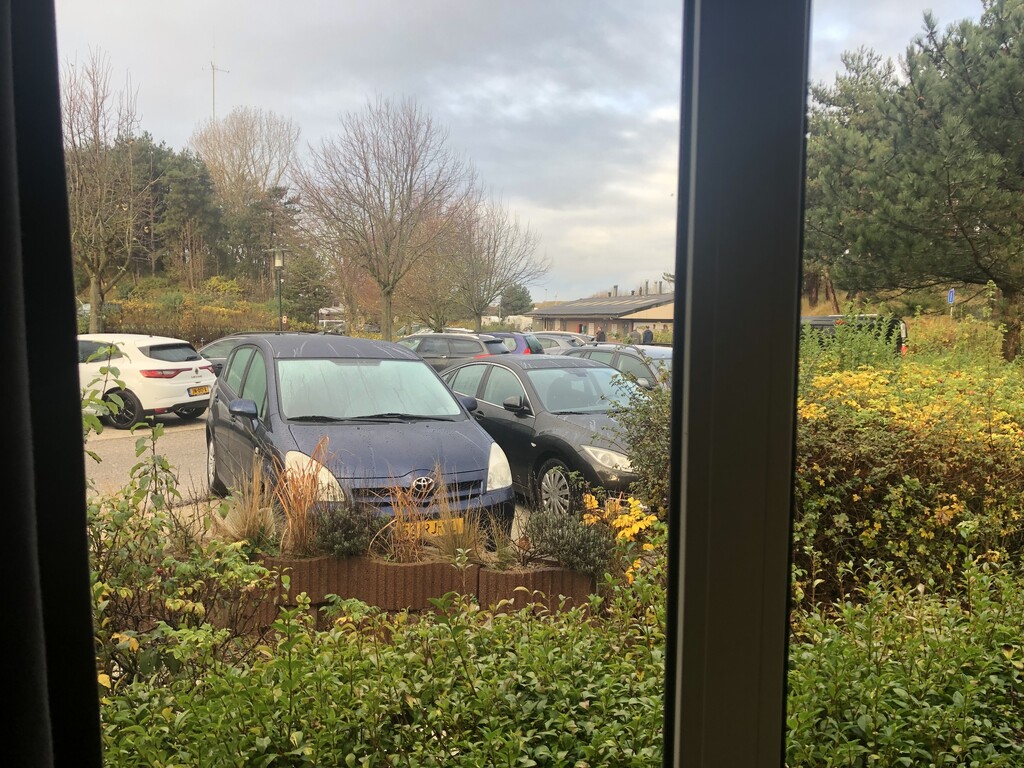 Uitzicht vanuit huisje