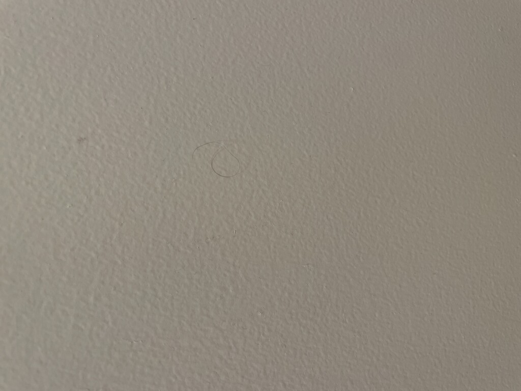 Haar op de muur naast toilet